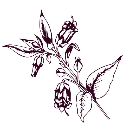 Loyalty Venue Bellflower