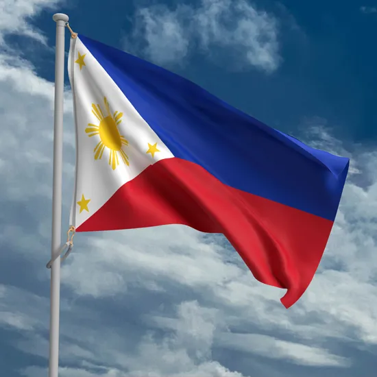 February 25 is a Special Working Holiday thumbnail