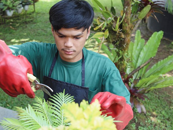 Garden maintenance at an event venue in Metro Manila, ensuring a clean and well-kept outdoor space for special occasions.