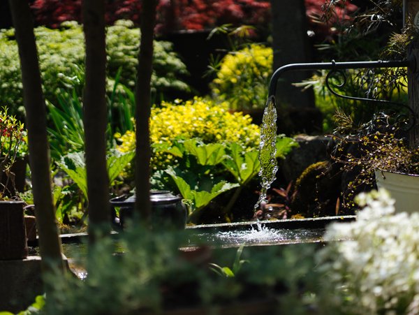 Water features at an event venue in Metro Manila, adding elegance and a relaxing ambiance to the surrounding landscape.